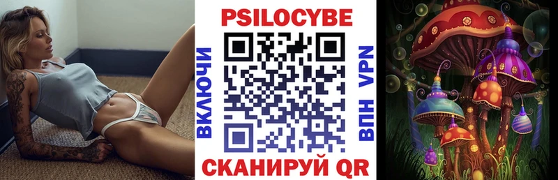 Псилоцибиновые грибы прущие грибы  где найти   Ардатов 